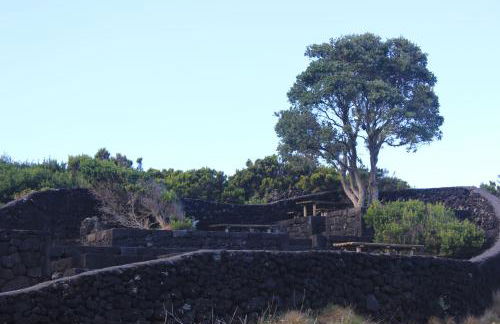 Adega Do Mirante - Photo 23