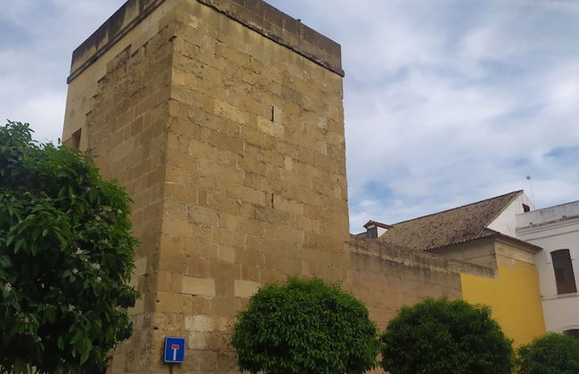 Lujoso Apartamento Los Patios de Cordoba - Foto 28