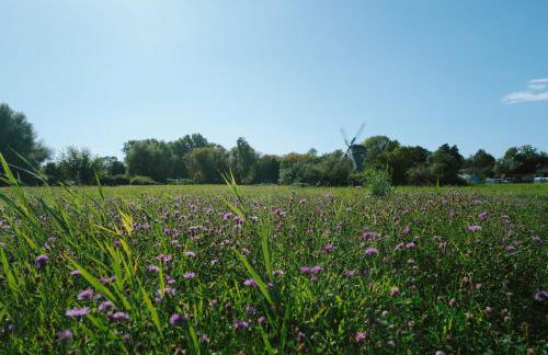 Sünn un See - Hortensienblick - Foto 13