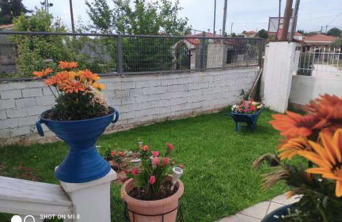 Dolphin Paradise Sozopoli - Foto 7