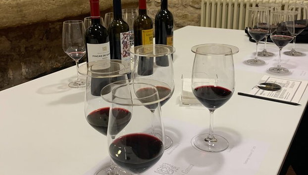 Tour Sorbo a Sorbo por 3 Bodegas Familiares Boutique Rioja (Tour Privado con Almuerzo) - Foto 5