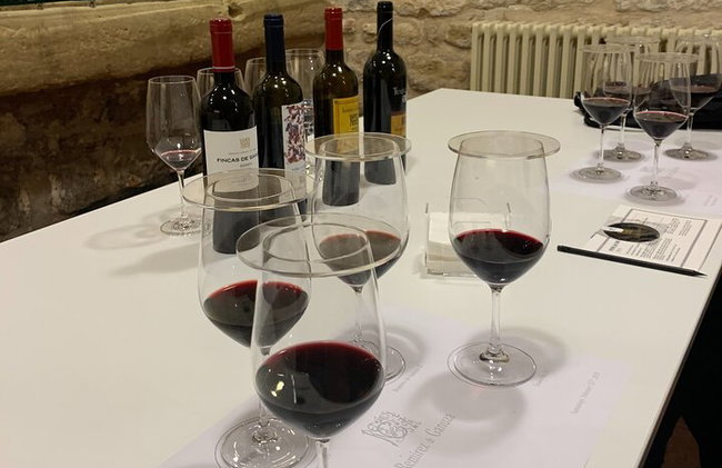 Tour Sorbo a Sorbo por 3 Bodegas Familiares Boutique Rioja (Tour Privado con Almuerzo) - Foto 5