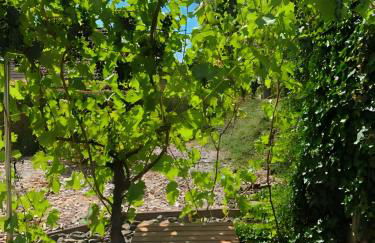 G&P Housing Apartments - Premium - Foto 12