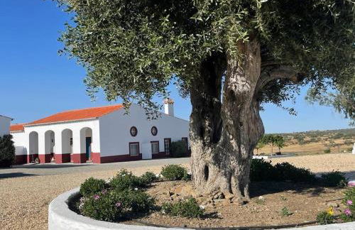 Herdade da Boavista - Foto 40