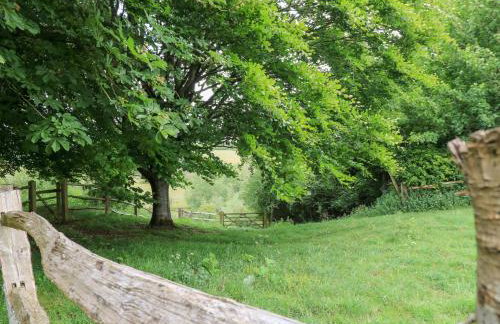 Pudding Hill Barn Cottage - Foto 47