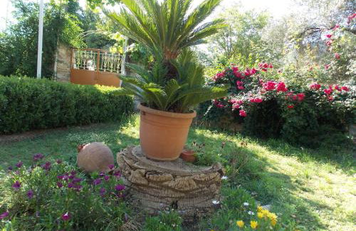 Art Flowers and Culture - Foto 18