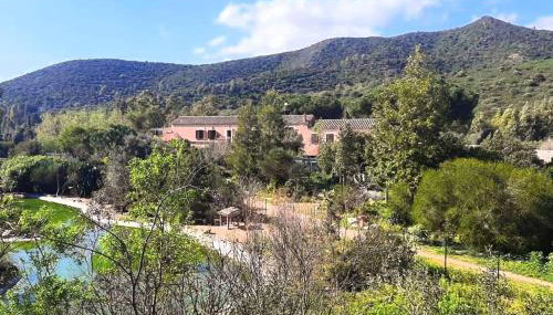 La Fattoria Delle Tartarughe - Foto 3