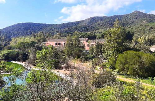 La Fattoria Delle Tartarughe - Foto 10