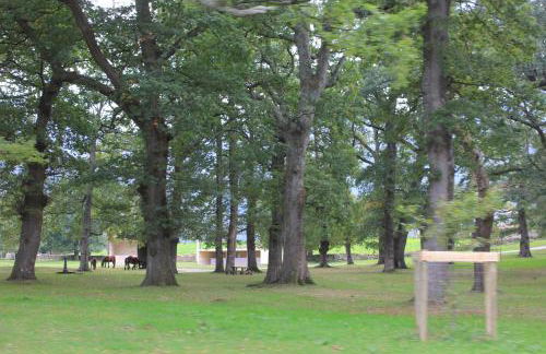 Apartamentos La Plazuela - Foto 25