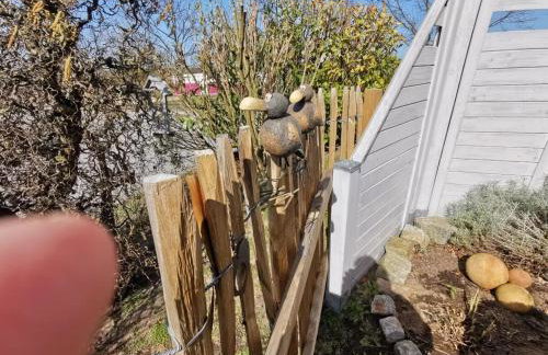 Holiday home in Ückeritz with swimming pool - Foto 10