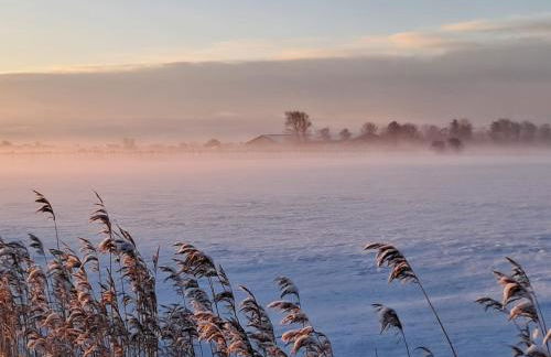 Ferienwohnung Leuchtturmblick - Foto 20