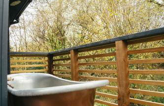 Lerryn Lodge - Foto 24