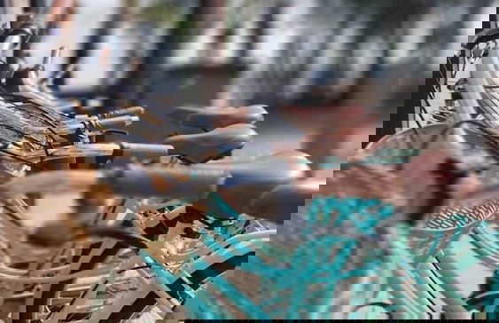 Olivos de Monte - Foto 49