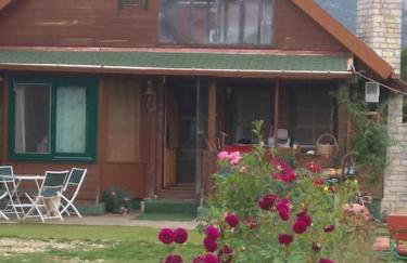 Chalet Επισκοπικό Ιωάννινα Ξύλινο σπίτι σε κτήμα - Foto 33