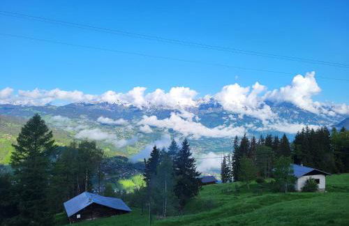 Chalet d'alpage avec vue incroyable - Foto 2
