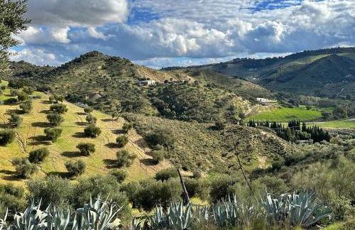 Casita Cacahuete - Foto 19