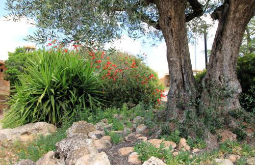 Casa rural el Carmen de la Sierra - Finca completa - Piscina privada - Foto 68