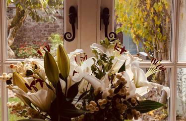 Exmoor, Devon - charming cottage , characterful and brimming with Hygge! - Foto 8