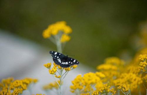 Kuća za odmor Nika - Foto 25