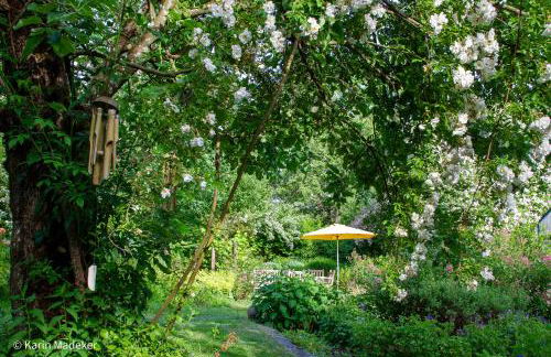 Design Ferienwohnung mit Bauerngarten - Foto 36