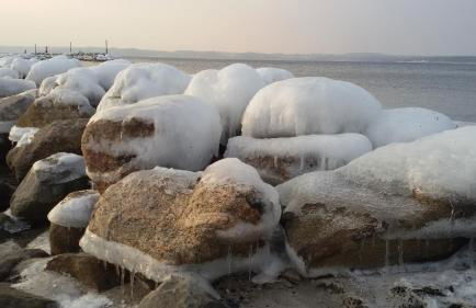 FEWO Muschel - Foto 20