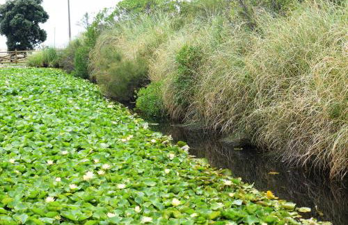 Vila Oceânica 1 - Foto 48