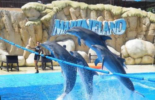 Palm Coast, FL 2BD 2BR Beach Villa! Walk to the Ocean! - Foto 9