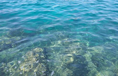 Levak Apartments - Apt. 1 - Photo 9