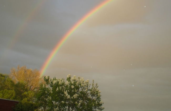 Holiday Home in Sternberg by Lake - Foto 13