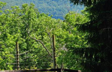 Vinewood Estate & Adventures - Foto 27