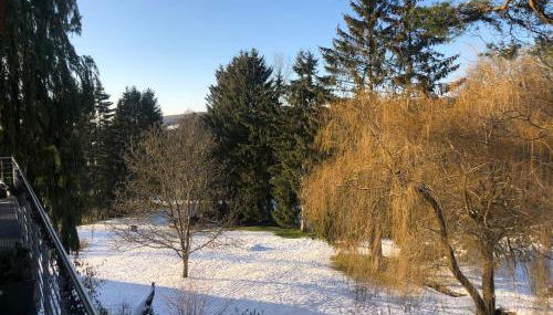 Ferienhaus HAAGALM - Foto 5