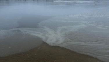 Cottage an der Elbe Tespe Hamburg - Foto 2