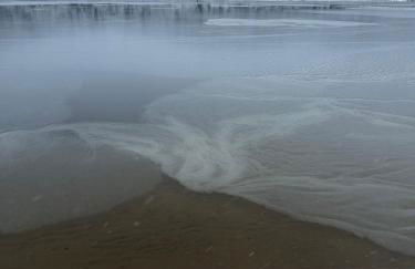 Cottage an der Elbe Tespe Hamburg - Foto 2