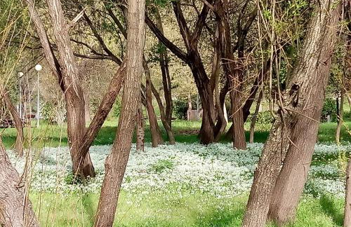 Douro Balcony - Foto 65