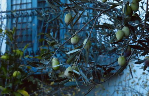 Dimidia - casa vacanze mare montagna - Foto 25