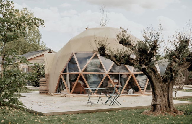 Les Etangs de la Bassée - Foto 33