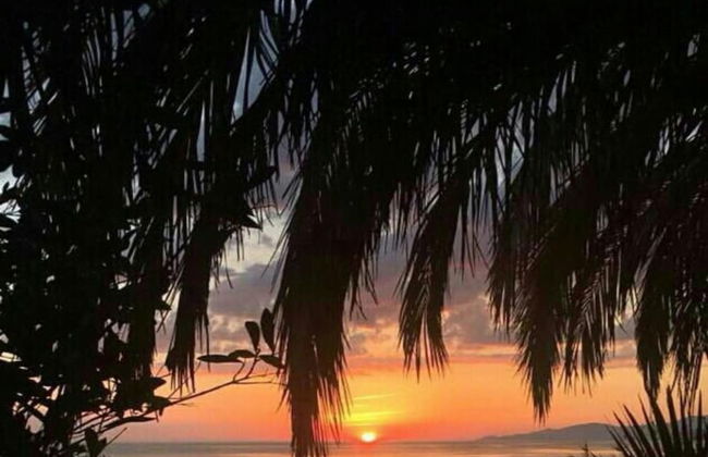 Pet-friendly Getaway - Foto 33