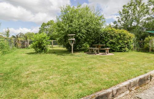 The Turbles - Wagtail - Foto 14