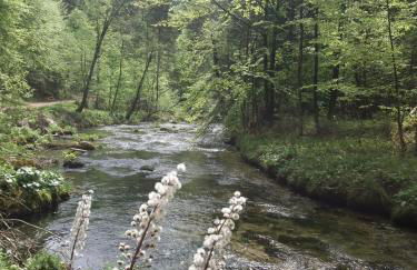 Place In The Bavarian Mountains - Foto 26