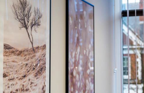 Pluxa Larimar - Spacious Apt with Private Entrance, Workspace & Wi-Fi - Foto 26