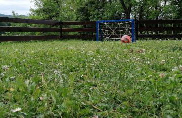 Green Peak - Foto 28