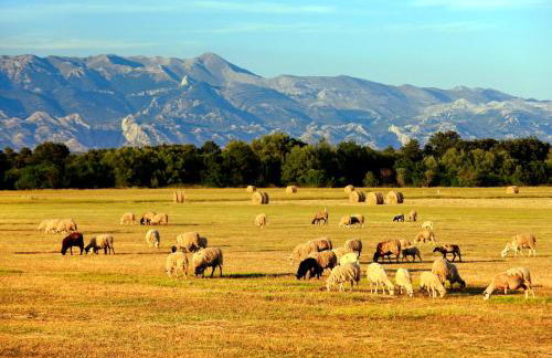 Villa Marina - Photo 30