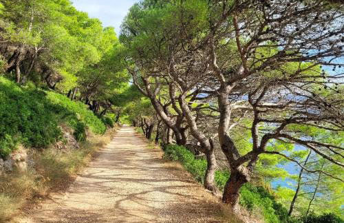 Apartment Bakarosa - Foto 37