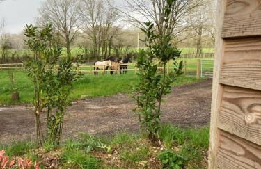 The Cabin in the Woods - Foto 16