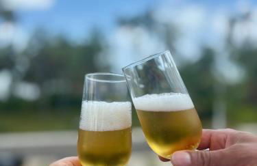 Villa Naluri C103 - Casa Auati - 2 quartos com Vista Mar em Japaratinga - Foto 47