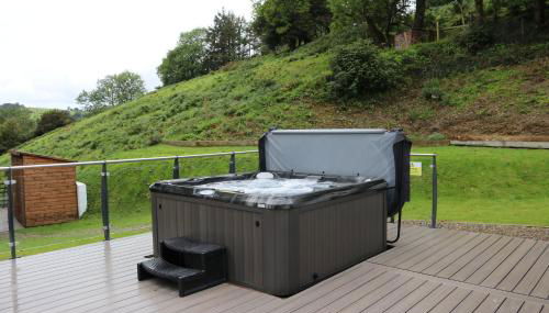 Llwynblyfyn - Foto 2