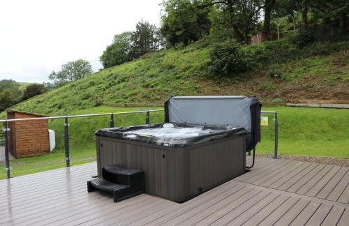 Llwynblyfyn - Foto 2