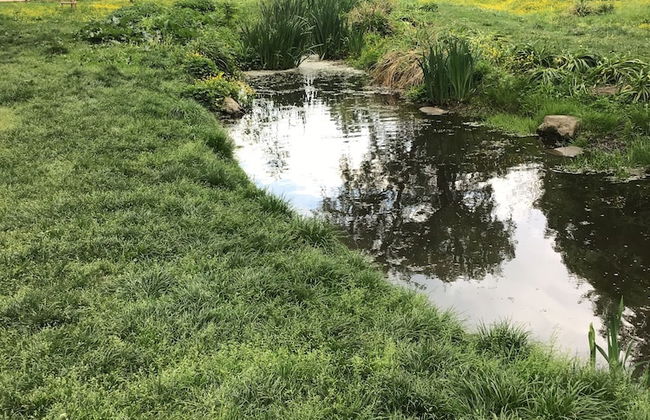 Euro Apartments Lidická 39 Brno - Foto 44