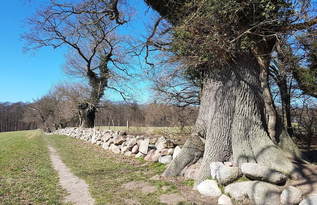 4 Person Holiday Home in Vordingborg-by Traum - Photo 3