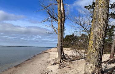 Reetdachhaus Holunder 2 - Foto 20